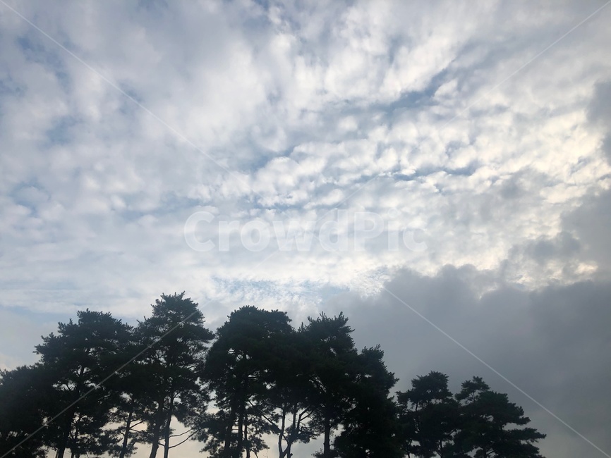 nature,자연,weather,날씨,outdoors,옥외