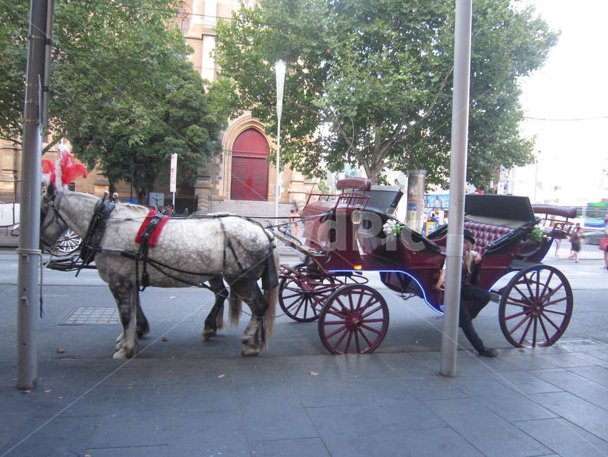 말,horse,바퀴,wheel,machine