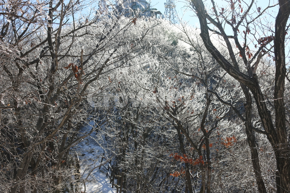 겨울산,상고대,나무얼음,어름나무,등산,어름산
