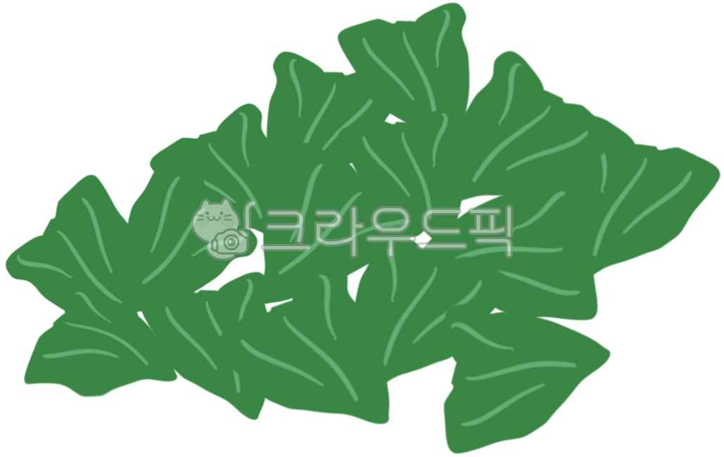 Salad,chicory,salad ingredients,bok choy,diet,kale,salad vegetables,vegetables,food,ingredients,poke,salad illustration,vegetables,grass,for salad,lettuce,romaine,salad grass,green lettuce,green,healthy,fresh,salad vegetables hand dr