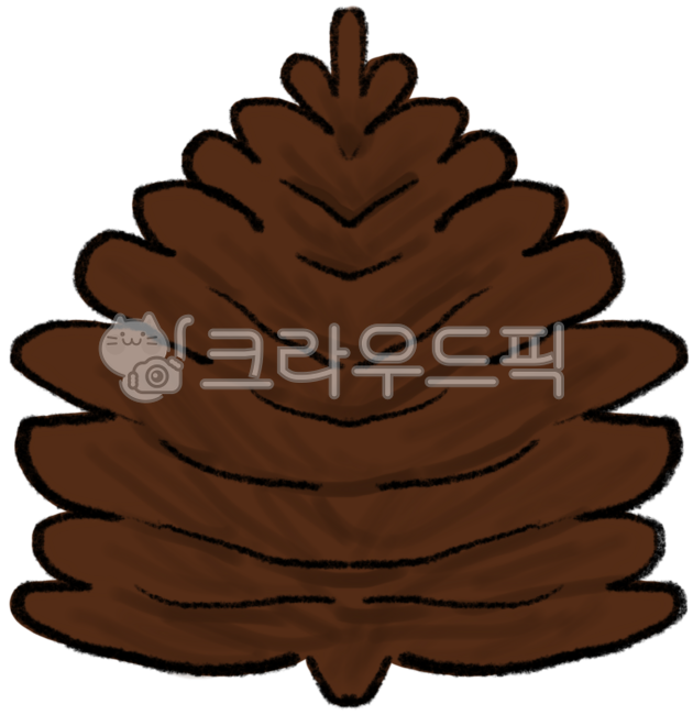 Pine cone,pine tree,pine fruit,pine cone drawing,drawing,illustration,brown