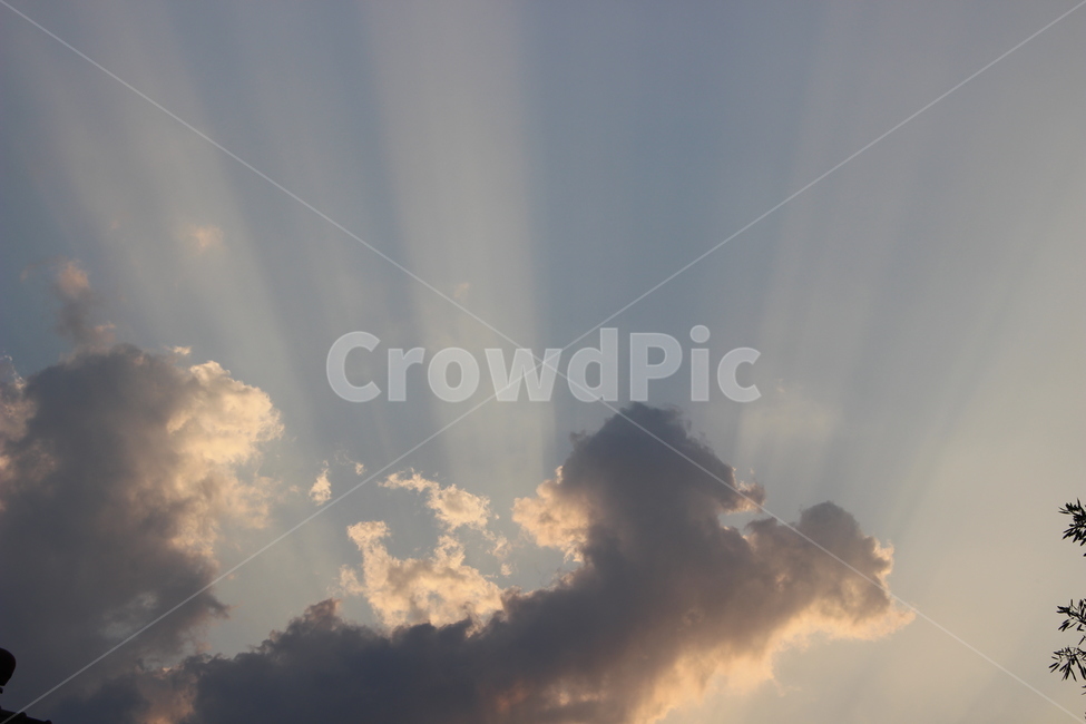 light,빛,flare,플레어,sunlight,햇빛,nature,자연,outdoors,옥외