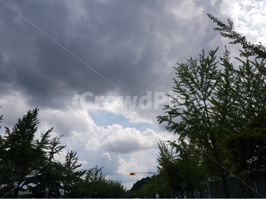 풍경,구름,푸른,하늘,자연,위,바다,먹구름,자연,풍경,nature,landscape,weather,날씨,outdoors,옥외,cumulus,적운,sky,cloud