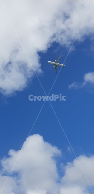 비행기,하늘,파랑,여행,풍경,자연,풍경,nature,landscape,교통,교통수단,traffic,transportation,animal,동물,flying,나는,bird,새,airplane,vehicle,차량,aircraft,항공기,flight,비행