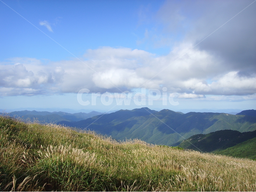산,영남알프스,신불산,간월산,영축산,갈대,가지산,자연,풍경,nature,landscape,한국자연풍경,한국자연경관,korea nature landscape,outdoors,옥외,hill,언덕