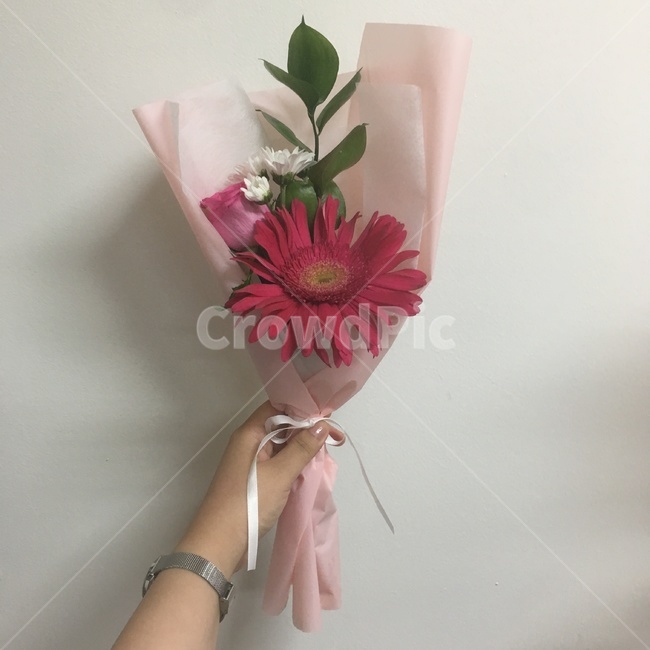 꽃,꽃을든손,꽃다발,핑크꽃,분홍색