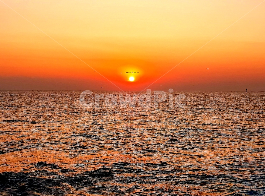 nature,자연,outdoors,sunlight,햇빛,새벽,dawn,sky,redsky,sunrise,자연,풍경,nature,landscape
