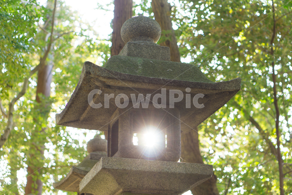 봄,빛,햇살,숲,감성,조각상,동상,석상,조형물,statue,bronze statue,stone statue