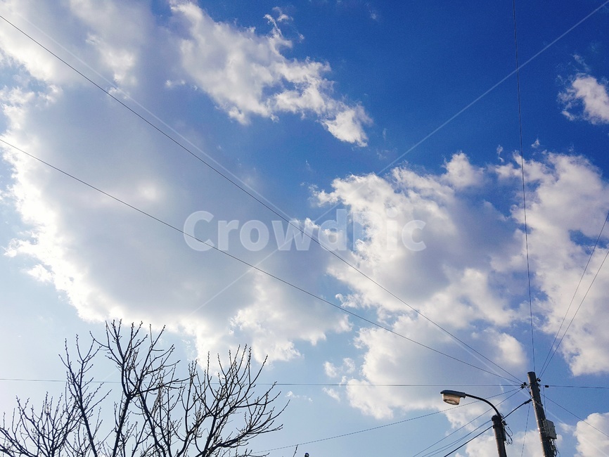 하늘,풍경,감성,구름,나무,가을,청량,자연,풍경,nature,landscape,cable,케이블,power lines,전력선,electric transmission tower,송전탑