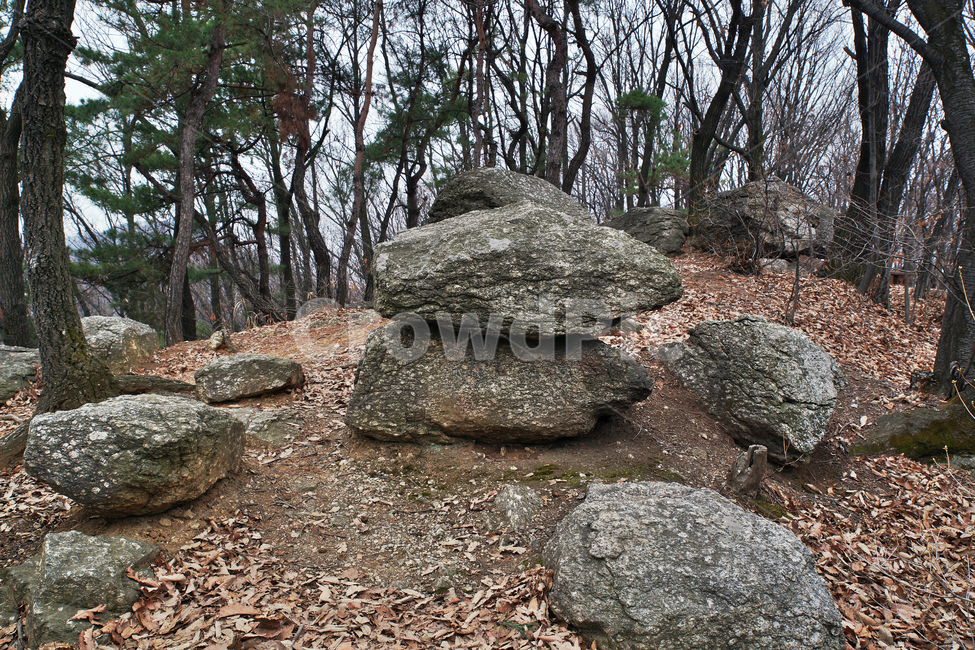 모락산,산,의왕시,자연,바위,나무,낙엽,계절,자연,풍경,nature,landscape
