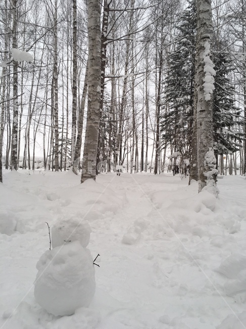 겨울,눈,눈사람,snow,snowman,겨울,계절,winter,season