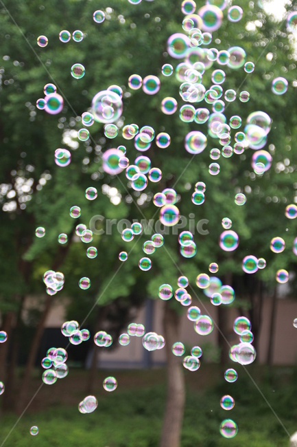 비누방울,비눗방울,비누,방울,무지개,공원,나무,soapbubble,bubble,drop,soap,rainbow,tree,감성,sensible,feeling