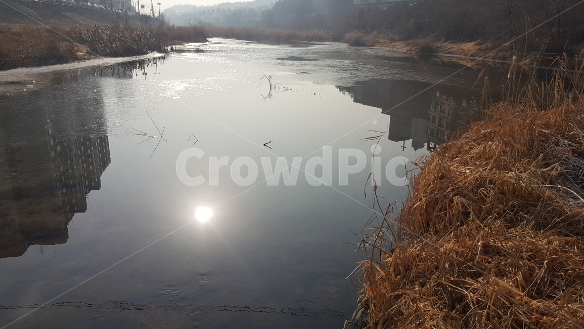 수면,반사,강,태양,물에비친,풍경,자연,자연,풍경,nature,landscape,water,물,outdoors,옥외,land,땅