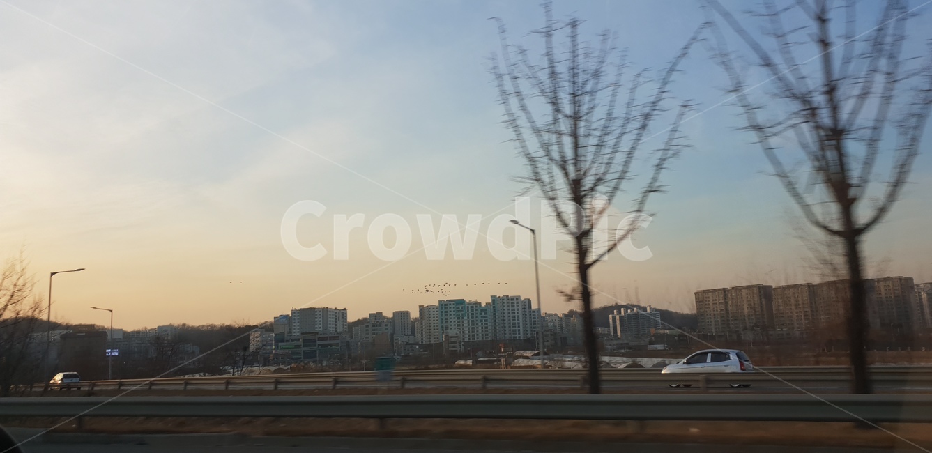노을,차유리,자동차,창문밖,드라이빙,기러기떼,새떼,파주