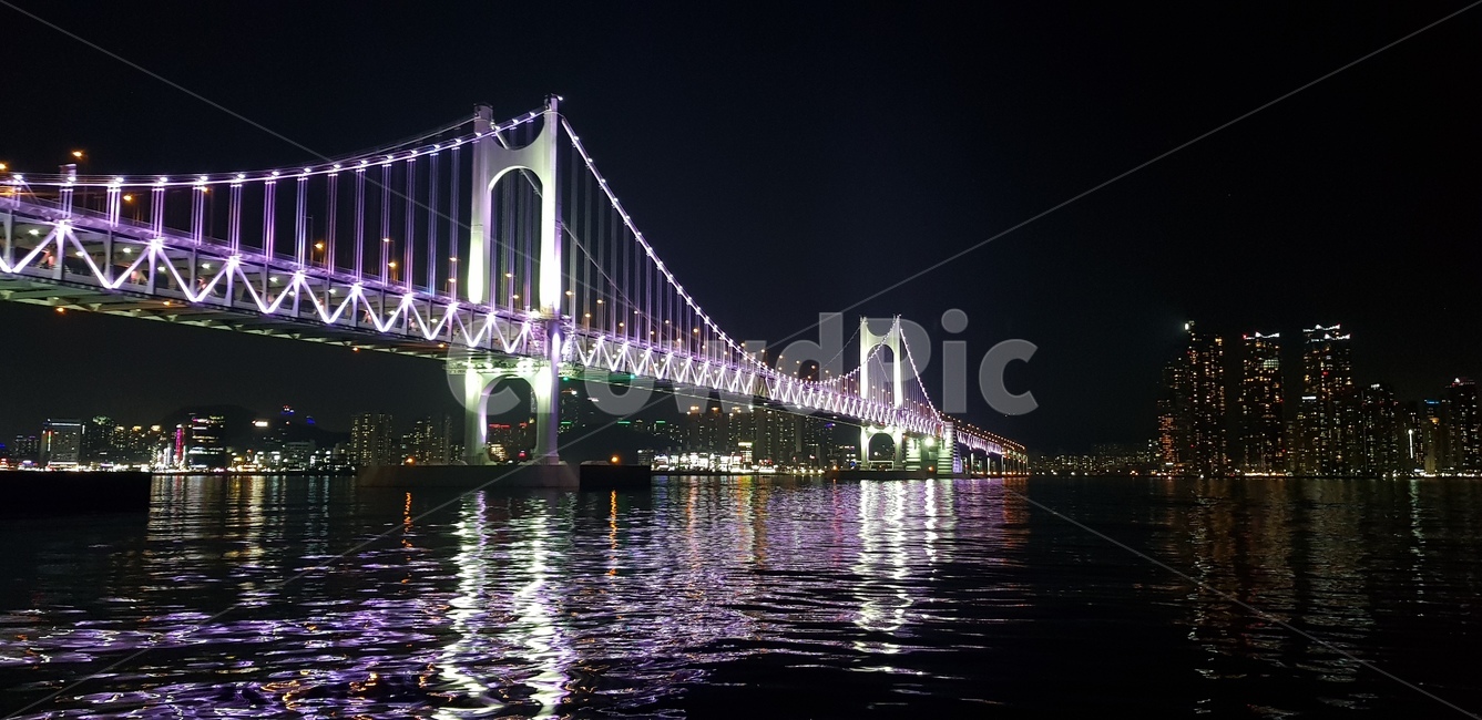 다리,건물,야경,부산,해운대,풍경