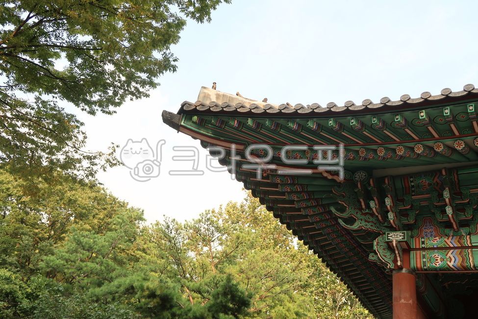 koreanlandmark,koreanculture,building,tile,tradition,Emotion,architecture,palace,sky,roof,green,Palace,koreantraditional,tree,Korean culture,history,seoul,korea,traditional,Asia,Deoksugung Palace,Eastern,autumn,Dancheong,old palace