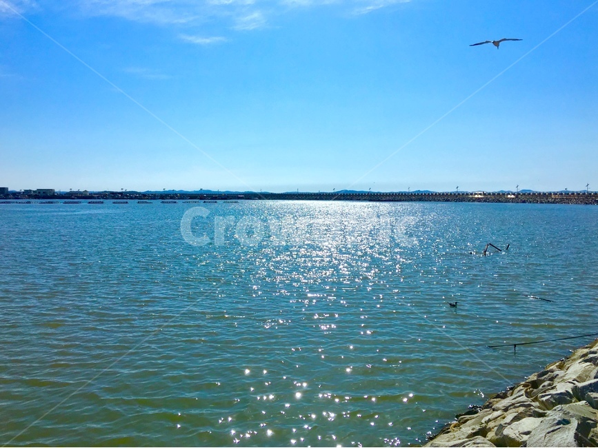 바닷가,바다,sea,하늘,nature,갈매기,물빛