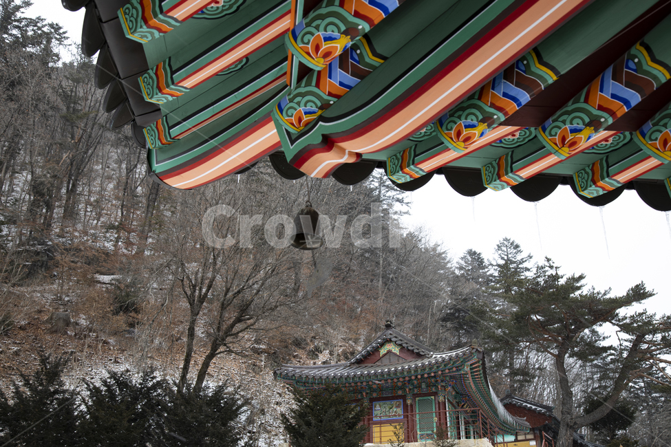 풍경,절,불교,사찰,지붕,단청,풍경소리,기와,목조건물,하늘,종,물고기,잉어,처마,추녀,바람,전통,정암사,강원도,건물,건축물,temple,한국전통,한국문화,korean traditional,korean culture,건축물,건물외관,exterior,building,structure,architecture,construction