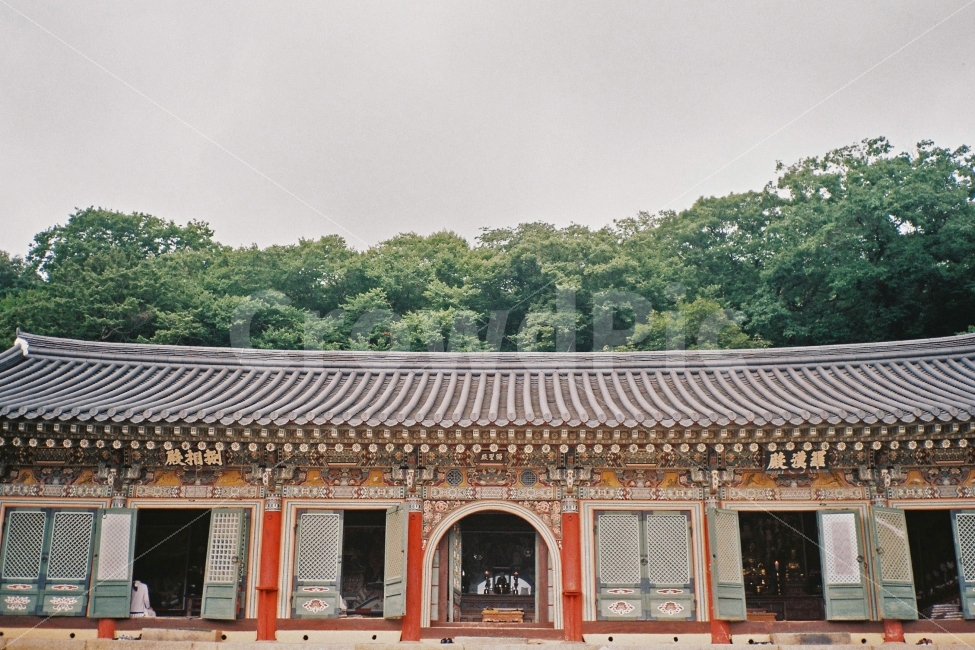나무,숲,한옥,절,사찰,하늘,구름,풍경,감성,필카,필름카메라,범어사,한국전통,한국문화,korean traditional,korean culture,종교,신앙,religion,belief,faith,감성,sensible,feeling,건축물,건물외관,exterior,building,structure,architecture,construction