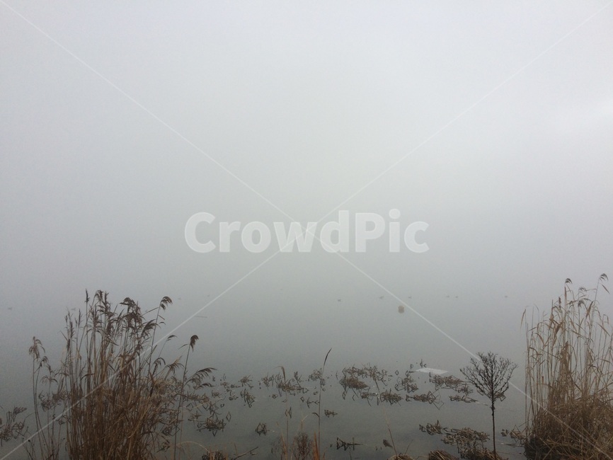 하늘,갈대,가을,감성사진,강,물,안개,자연,풍경,nature,landscape,weather,날씨,fog,outdoors,옥외