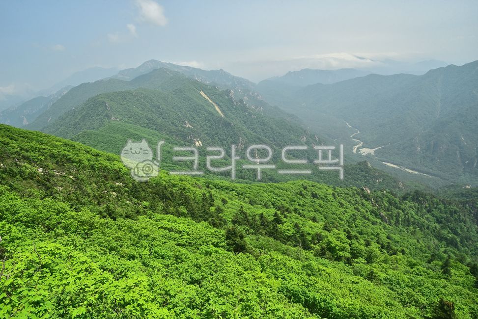 A national park,Oeseorak,Northwest Ridge,healing,mountain,high mountain,record,Korean natural scenery,season,ridge,Gosanjunbong Peak,Mt Seolark,nature,tree,mountain range,peaks,fresh green,outdoor,environment,outdoors,background,Mt Cheopcheop Mountain