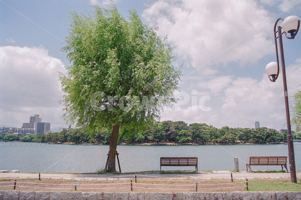 벤치,나무,하늘,필름사진,호수,감성,sensible,feeling,휴식,힐링,rest,relaxation,healing