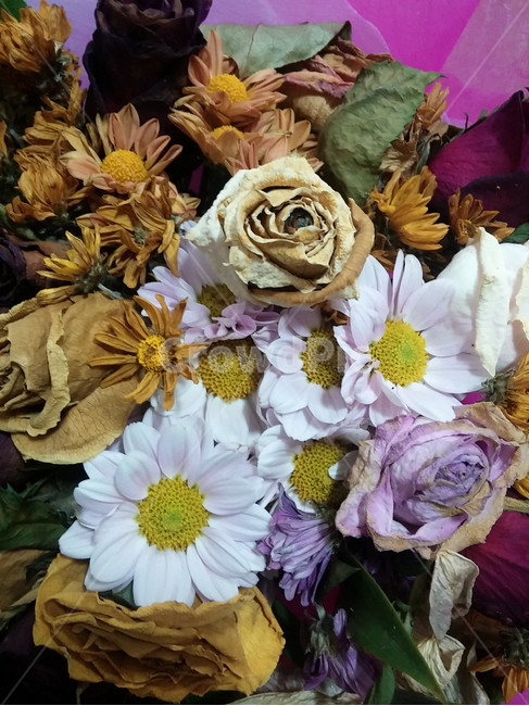 꽃,꽃다발,드라이플라워,마른,장미,빈티지