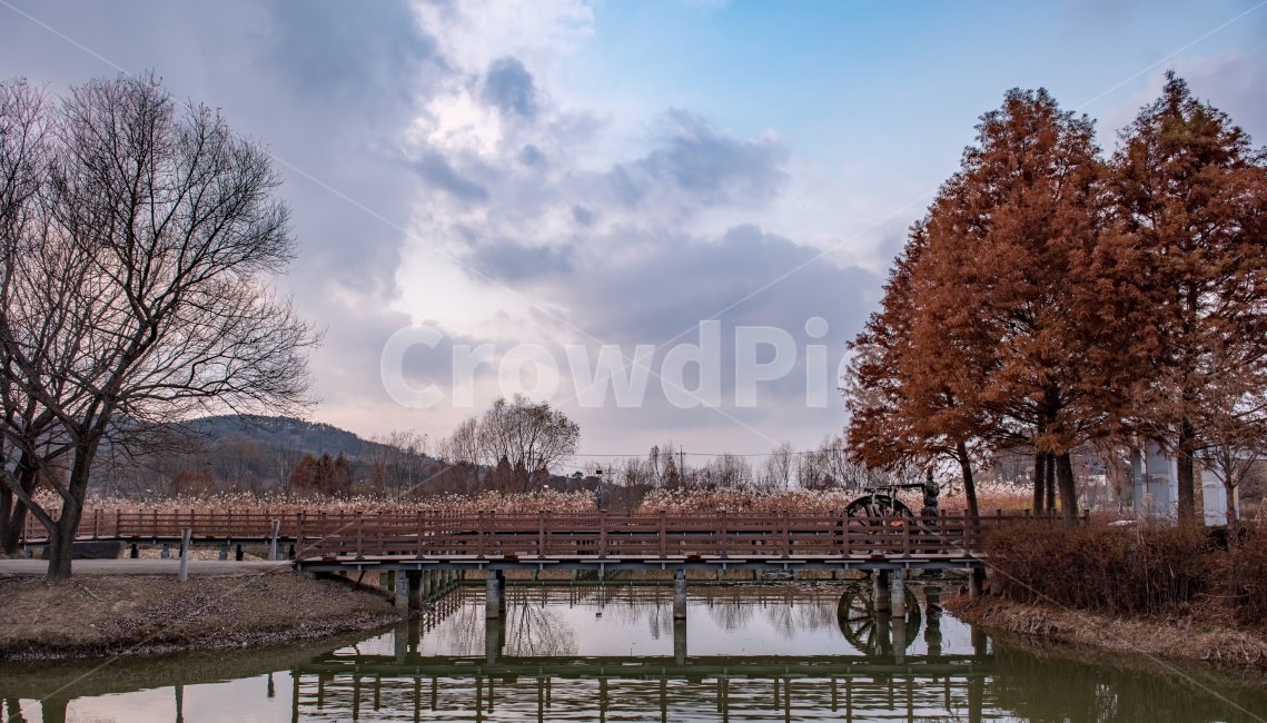 논산,논산생태공원,반영,풍경,단풍,가을,계절,fall,autumn,season,자연,풍경,nature,landscape,한국자연풍경,한국자연경관,korea nature landscape,tree,나무,plant,식물