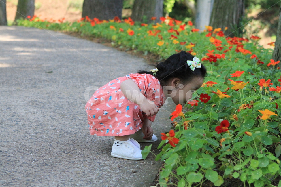 아이와꽃,꽃길,꽃과아이,봄나들이,봄소풍,사람,인물,인간,human,person,어린이,어린아이,child,children,kid