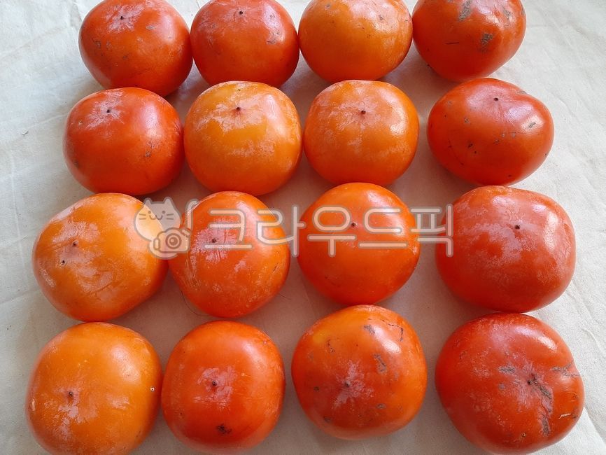 홍시,반시,감,fruit,과일,food,음식,persimmon,가을,말랑말랑,후식,dessert,fall,autumn,과일,열매,fruit