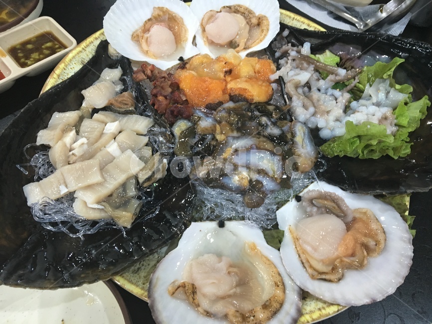 회,수산,해산물,광어,해삼,멍게,가리비,조개,싱싱,바다,음식,식재료,요리,food,cook,meal,dishes,food reserves,수산물,해산물,fishery products,seafood