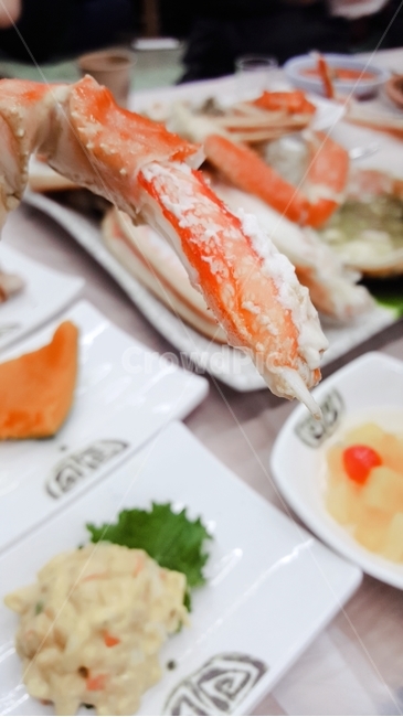크랩,대게,해산물,음식,바다,수산물,해산물,fishery products,seafood