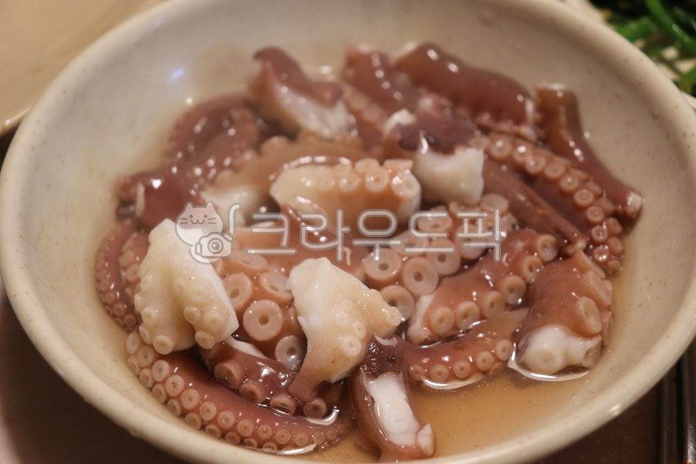 Octopus,octopus leg,seafood,fresh,seafood ingredient,uncooked,tender,chewy,Korean food,marine food