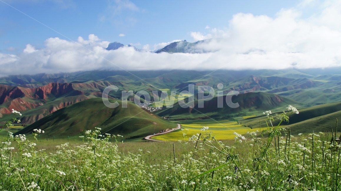 중국,기련현,탁얼산,운해,탁얼산유채,탁얼산운해,유채,nature,자연,outdoors,옥외,mountainrange,산맥,mountain,산,scenery,풍경,자연,풍경,nature,landscape