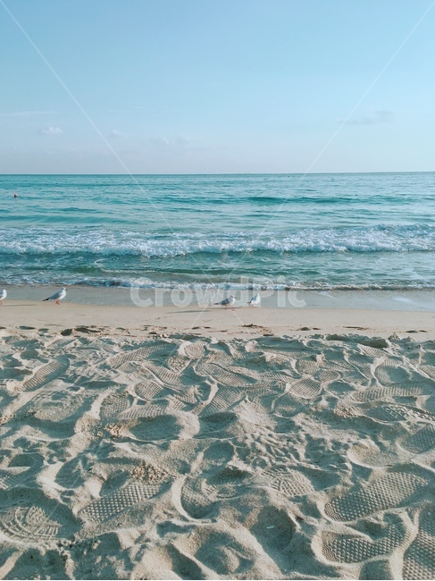 해운대,맑은,바다,갈매기,자연,발자국,해변,물,water,nature,야외,outdoors,sea,하늘,sky,모래사장,감성,깨끗한,겨울바다