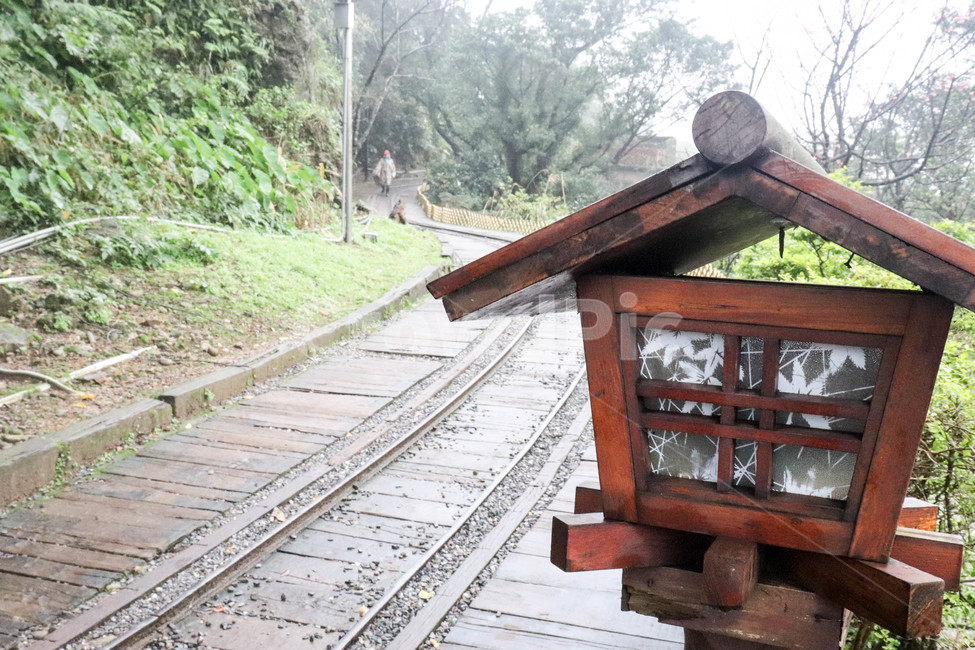 전등,철길,기찻길,풀,자연,식물,잔디,자연,풍경,nature,landscape,wood,나무,transportation,교통,rail,레일,train track,railway,철도