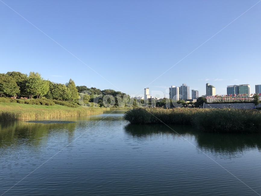 올림픽공원,올림픽,공원,가을,하늘,sky,park,나무,tree,blue,green,도시,풍경,city,landscape,water,물,nature,자연,outdoors,옥외