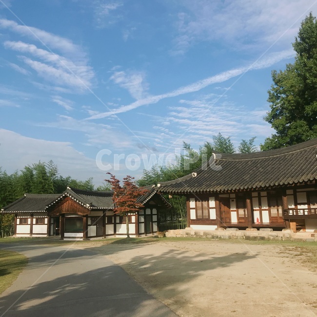 자연,담양,풍경,전통,하늘