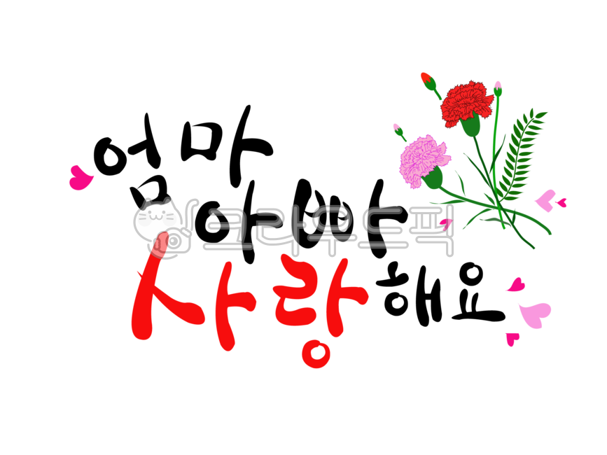 Callie,In May,carnation,I love you mom and dad,calligraphy png,petal,writing,handwritingpng,carnation image,family month,Family Month Image,png,handwriting,carnation png,font png,Mothers Day,message,May 8th,flower,i love you,calligraphy,parents