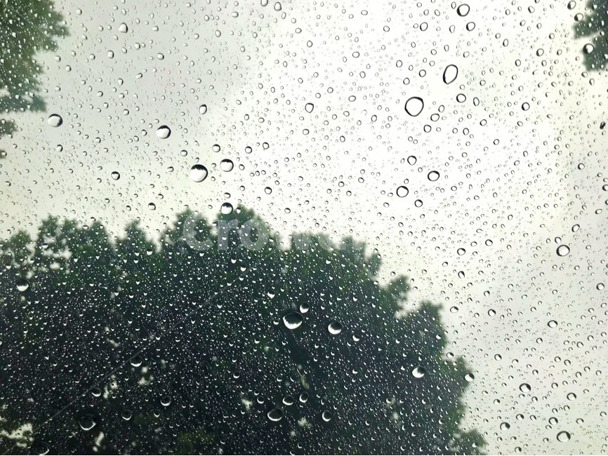 빗방울,나무,유리창,rain,감성,비,비오는날,rain,rainy