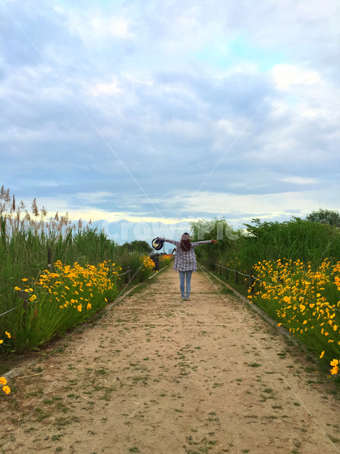 월드컵공원,하늘공원,여름,구름,여자,뒷모습,park,sky,하늘,노란꽃,yellowflowers,뭉게구름,상암동,감성사진,꽃길,사람,woman,female,cloud,summer,모자,hat,모래길