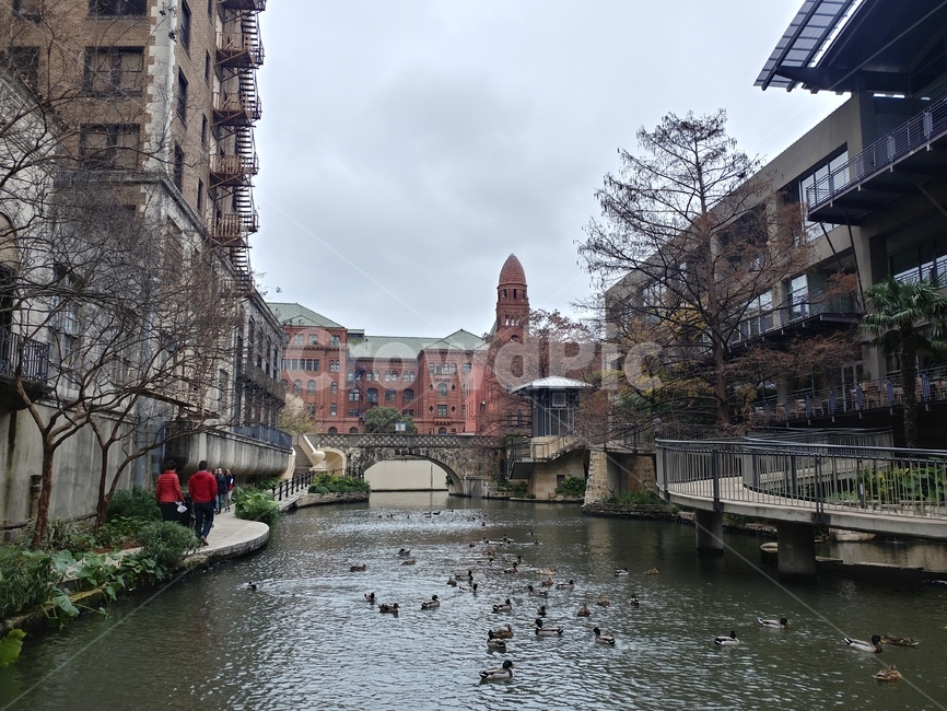 sanantonio,청계천,강,도심속강,도심천,도심공원,세계도시풍경,해외도시풍경,외국도시풍경,world cityscape