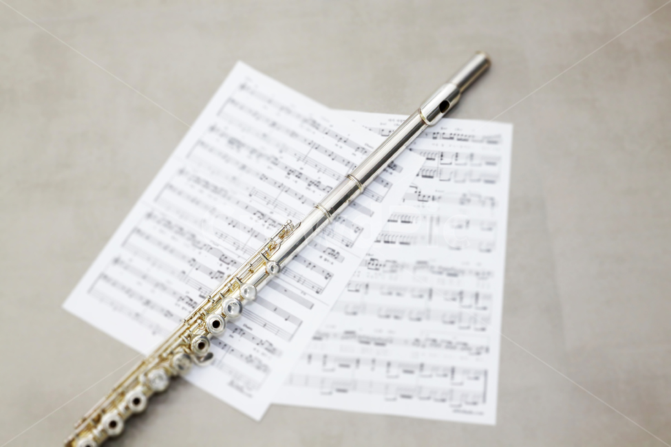 플룻,악기연주,플룻연주,음악,연주하다,악기,flute,연주,악보,사물,물건,오브젝트,thing,object,matter,악기,음향기기,musical instrument,musical equipment
