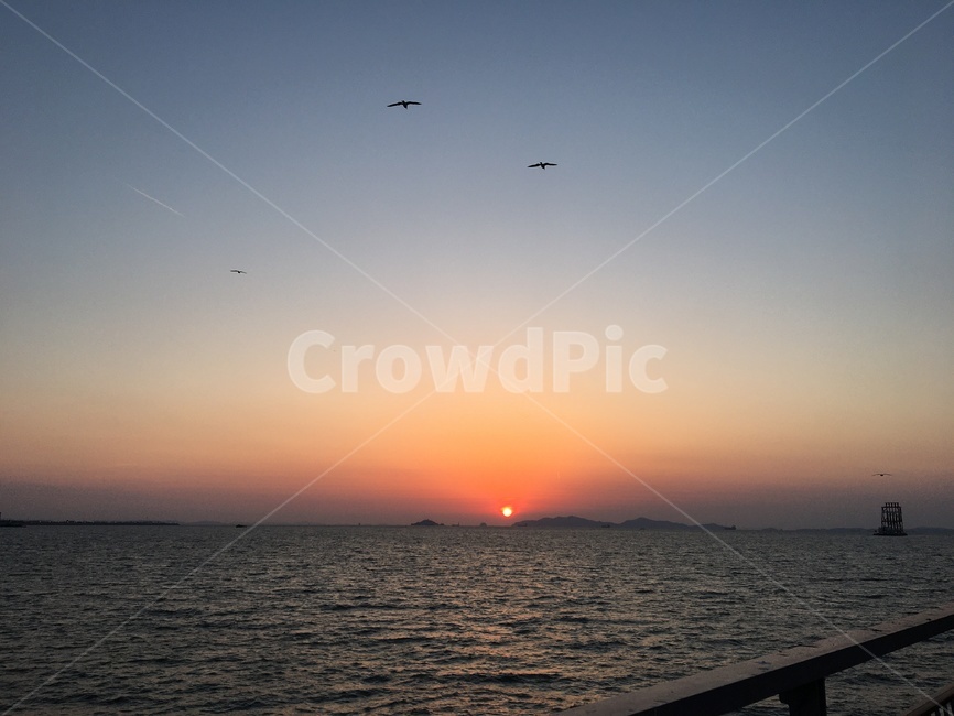atmosphere,tide,dusk,Orange,red,West Sea sunset,bird,western sky,Seagull,sky,red sky,nature,desolation,Dusk,west sea,blue,redsky,sunset,west coast