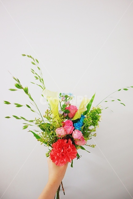 꽃,꽃다발,꽃을든손,고백,예쁜꽃,꽃,flower,기념일,축하,anniversary,congratulation,celebrate,celebration