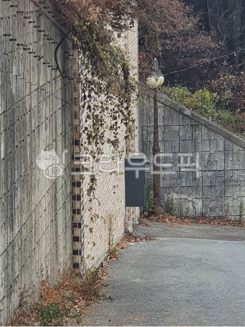 담,가을풍경,가로등,길,가을