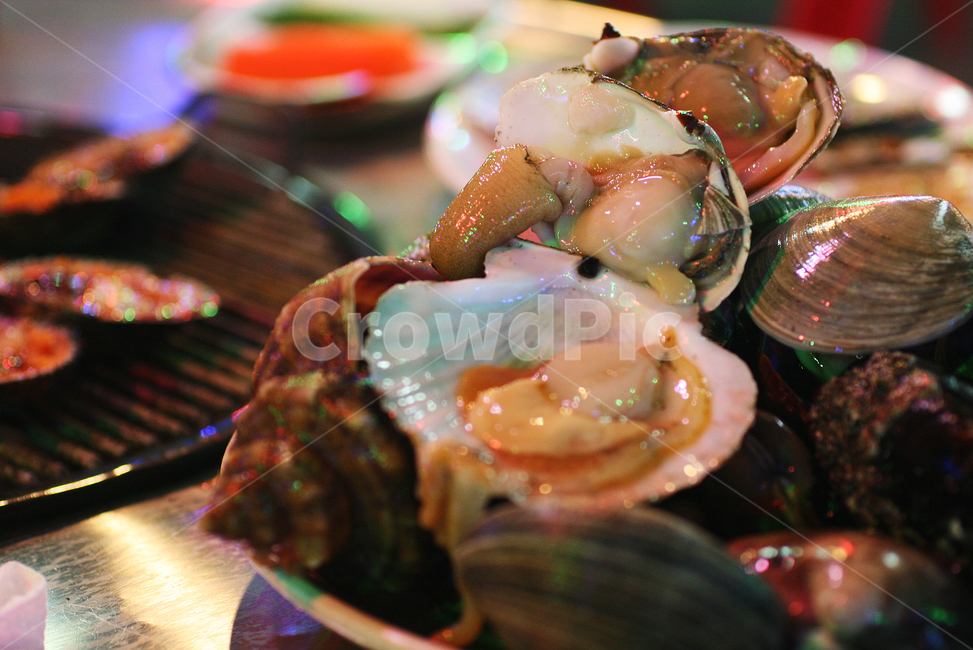 조개구이집,조개구이,회,포장마차,바닷가,포차,술안주,밤거리,clam,맛집,음식,식재료,요리,food,cook,meal,dishes,food reserves,수산물,해산물,fishery products,seafood