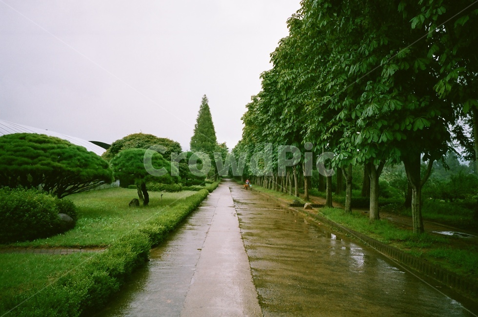 경주산림환경연구원,경주명소,경주풍경,나무,숲,숲길,자연,풍경,nature,landscape,outdoors,옥외