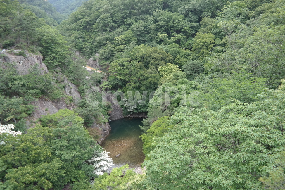 산,숲,나무,바위,샘,초록,자연