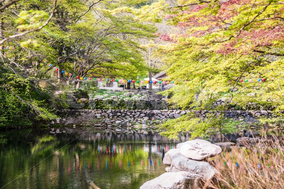 풍경,봄,백양사,사찰,반영,산,자연,풍경,nature,landscape,종교,신앙,religion,belief,faith,water,물,outdoors,옥외,land,땅